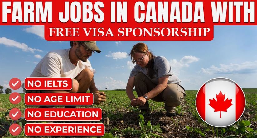 Farm Worker Jobs in Canada with Visa Sponsorship
